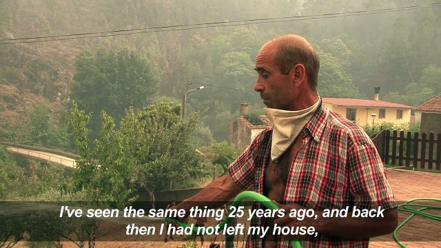 Raging Portugal forest fires kill dozens