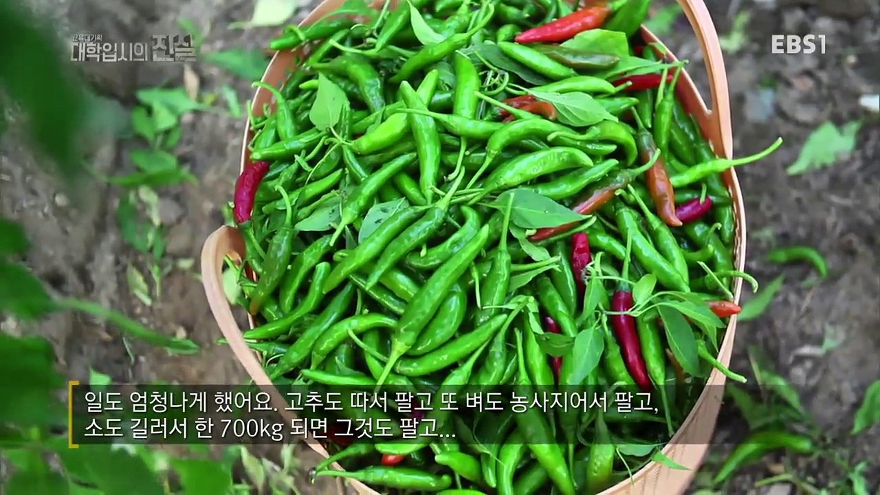 EBS 다큐프라임 - Docuprime_'대학 입시의 진실' 5부- 교육 불평등 연대...