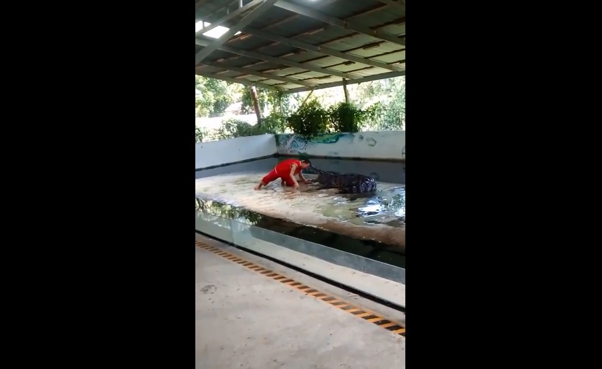 Un homme met sa tête dans la gueule d'un crocodile.