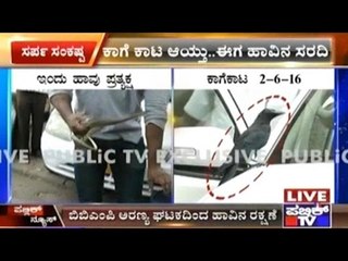 Rat Snake Found In CM Siddaramaiah's Garden