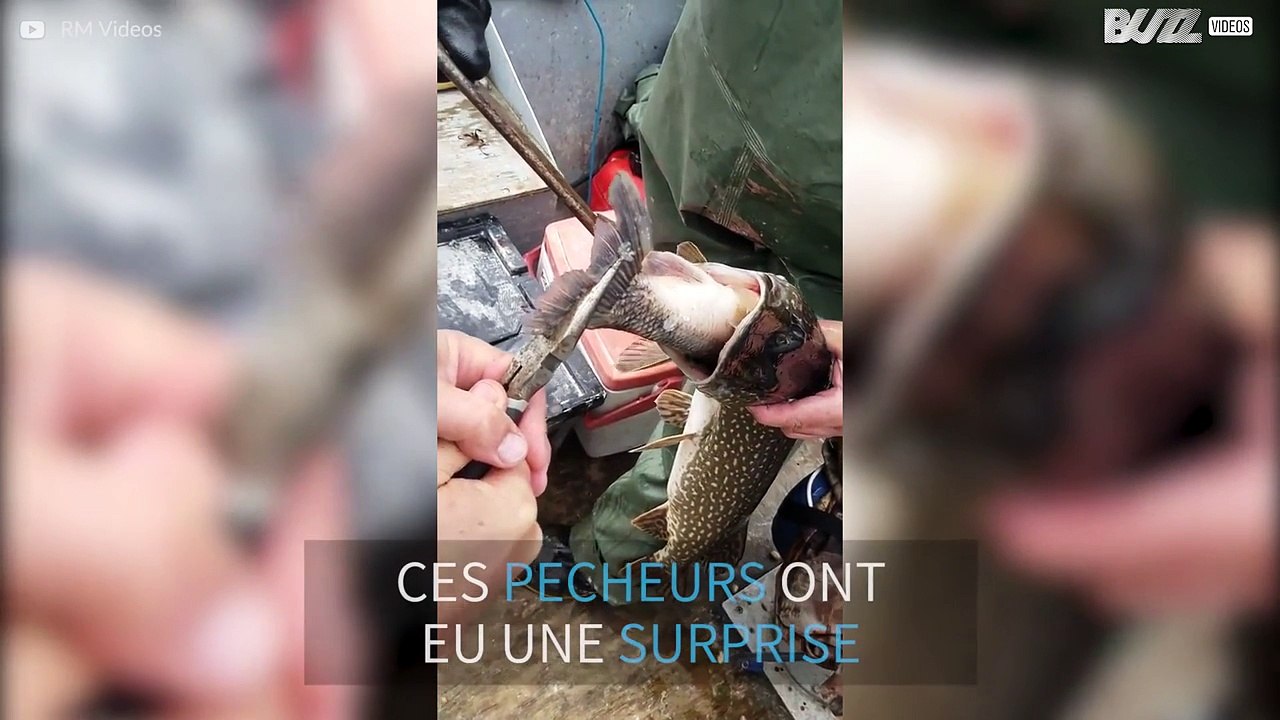 Ces pêcheurs attrappent deux poissons pour le prix dun
