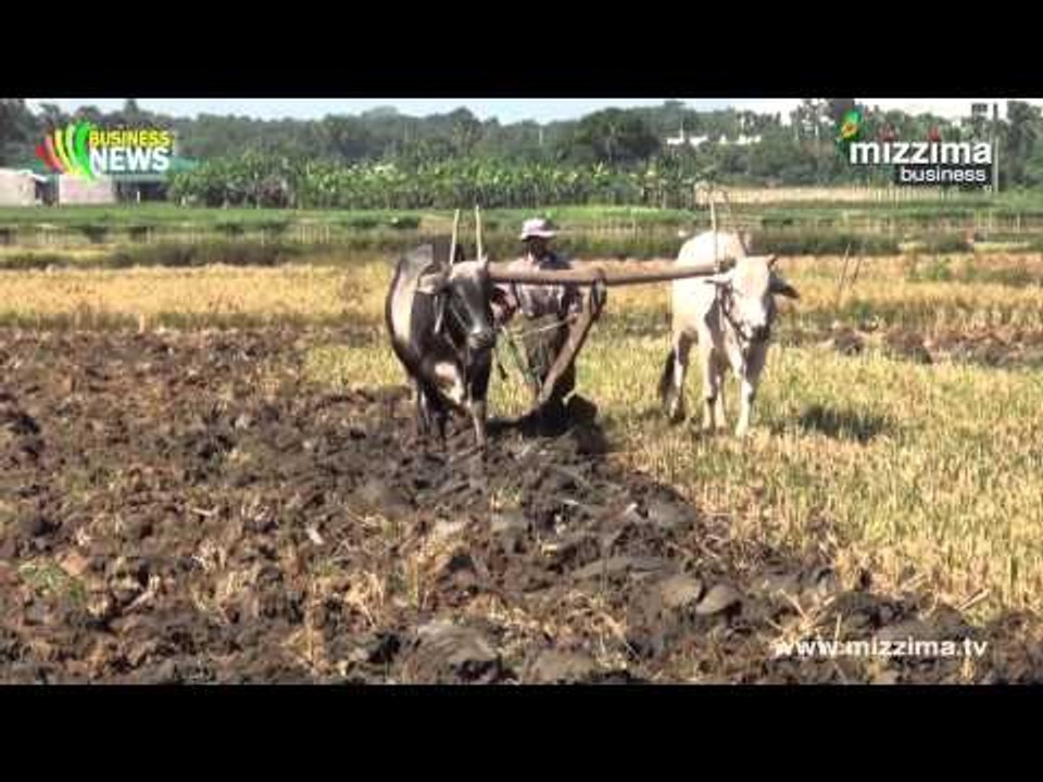 ျမန္မာႏိုင္ငံ လယ္ယာစုိက္ပ်ဳိးေရးႏွင့္SMEမ်ား၏အခက္အခဲမ်ားဂ်ပန္ႏိုင္ငံကကူညီေျဖရွင္းသြားမည္