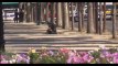 Champs-Elysées : Un policier déshabille le suspect en pleine rue (Vidéo)