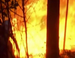 Más de 60 muertos en un incendio forestal registrado en Portugal