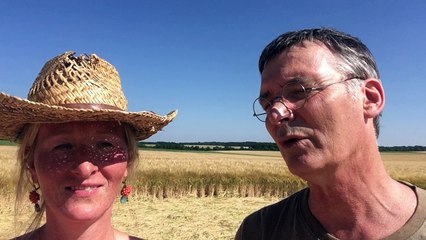 Crézancy en Sancerre-voyage au centre du Crop circles avec Umberto Molinaro-2017-06-19