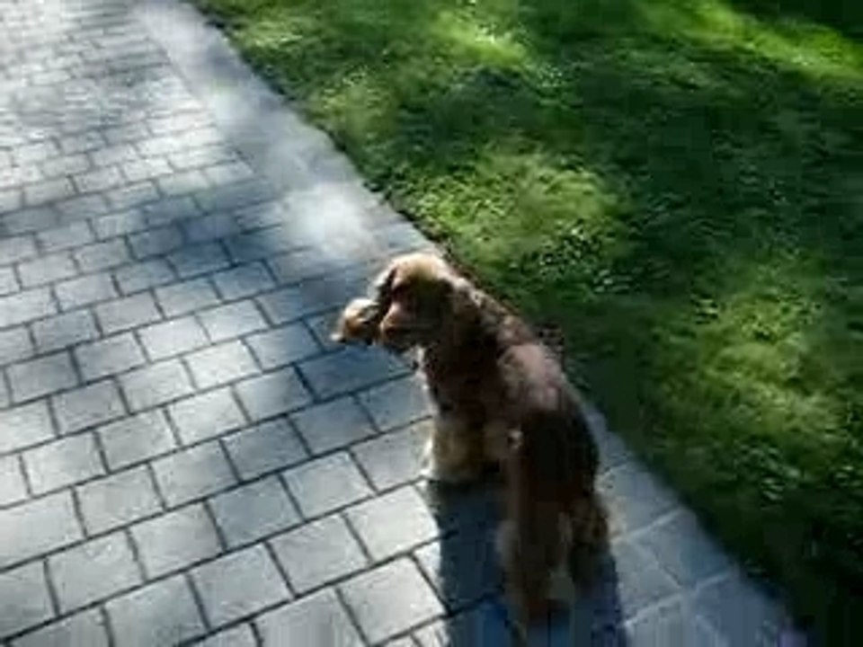 Bobby à Mondorff