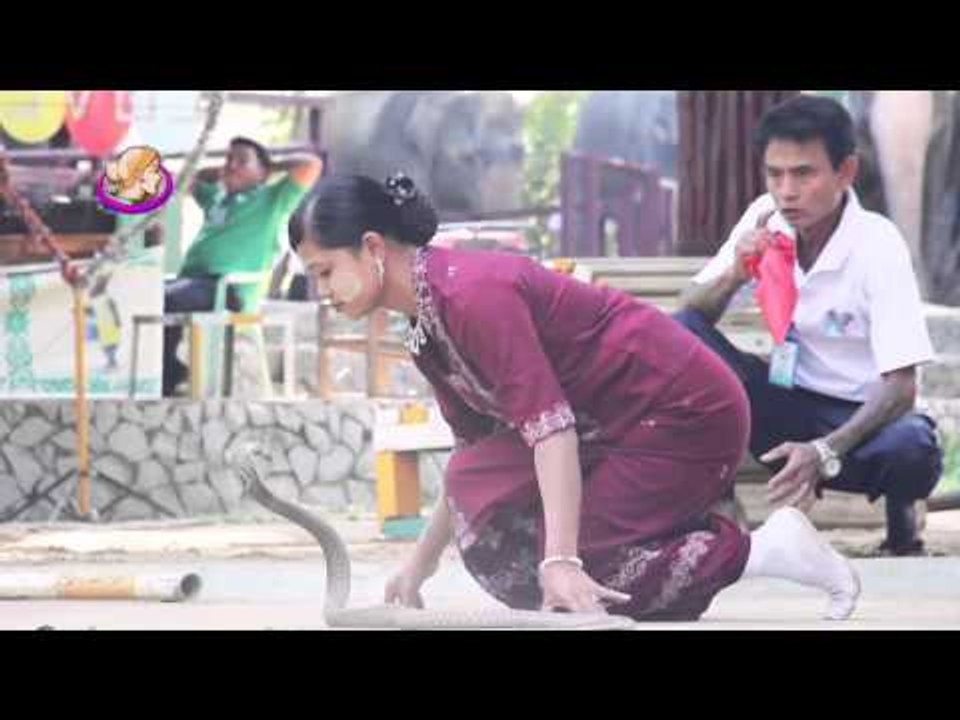 ေျမြမ်ားနဲ႔ကခုန္သူ မစိုးစိုး၀င္း