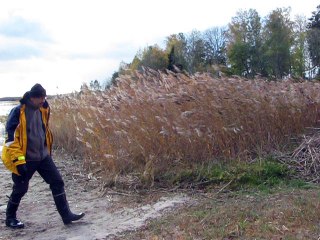 Tuulinen päivä Ahvenanmaalla 2010