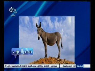 #مصر‪_‬العرب | شاهد…مقدمة نارية من محمد عبد الرحمن يشبه " مفجري الكرنك " بــ " الحمار "