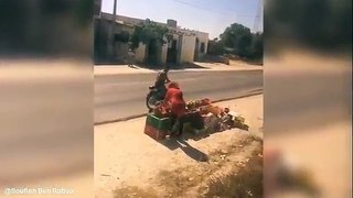 En Tunisie, un conducteur arrête son train pour acheter des pêches