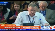 OEA sigue sin lograr acuerdo sobre resolución de la situación en Venezuela 3