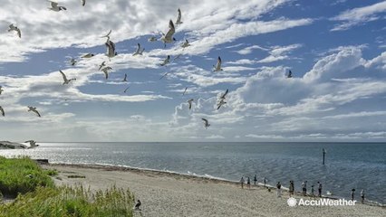 The top 5 beaches in America for 2017
