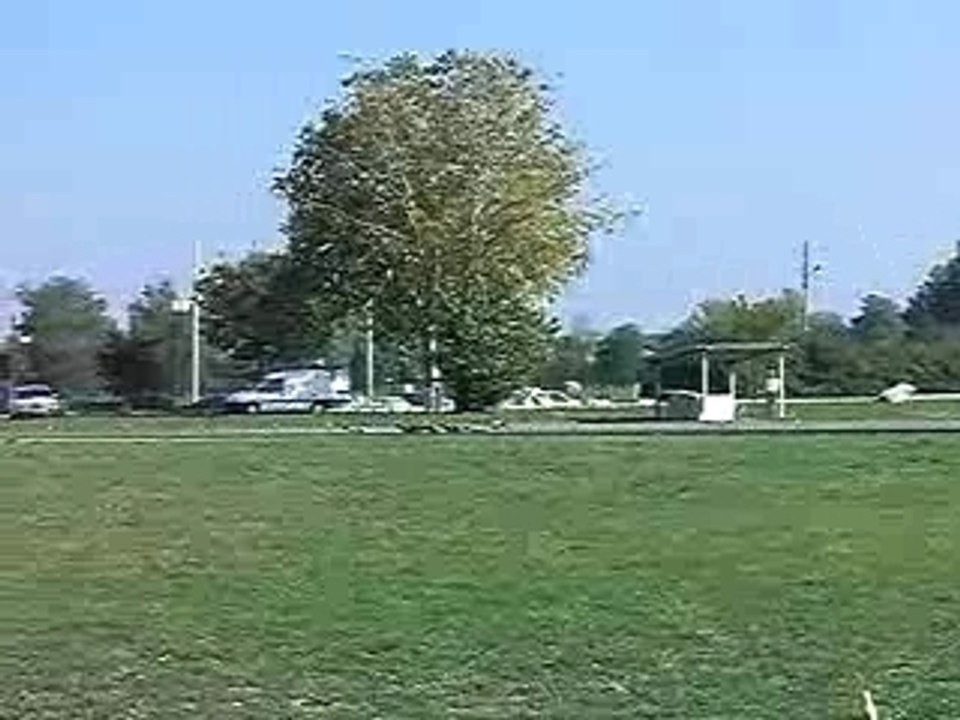 Finale course lévriers