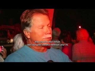 Penyelamatan sapi laut di Florida yang terjebak dalam gorongan pengendali banjir - NET5