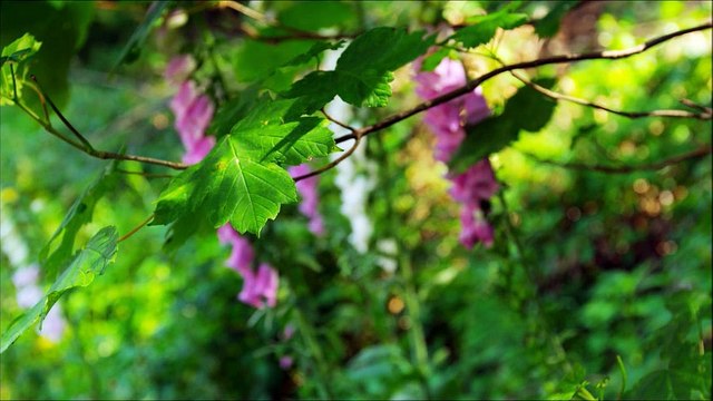 “Only tomorrow…” From Movie Soundtrack: “Leaving” Composer / Pianist / Producer & Musical Director: Patrick Stafford