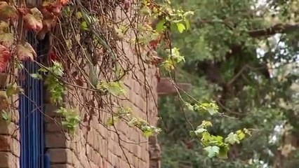 Rasool Pur Village in Pakistan Boasts 100 percent Literacy and No Crime!