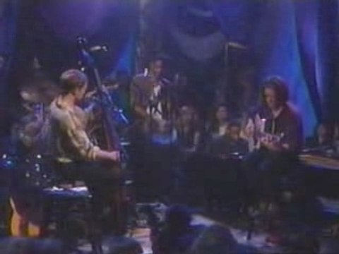 Sting-Wild Wild Sea-Unplugged