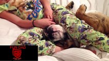 Cute Babies Sleeping With Dogs - Dog Loves Baby Videos