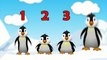 Counting Song 5 Little Penguins for Children, Kids, Babies and Toddlers _ Patty Shukla--scENG