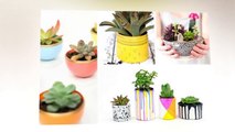 50  DIY Succulent Planter and Terrariums Ideas - DIY Pots Decoration