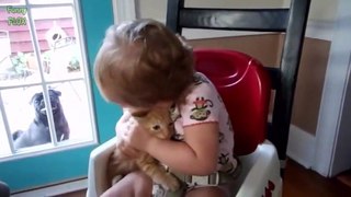 Getting a Kitten for Christmas Compilation 2013