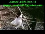 Do Pyar Karne Wale Jungle Mein Kho Gaye ( Ahmed Malik )