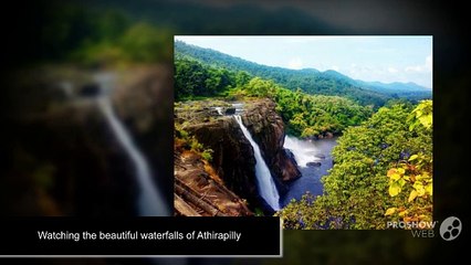 Best 10 activities to indulge in your Kerala trip