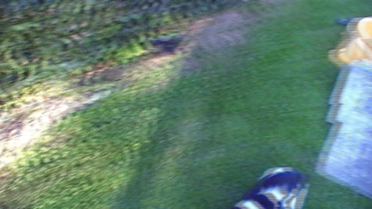 Mâle 2  Portée Eskenn X Boy   2017  - 6 semaines