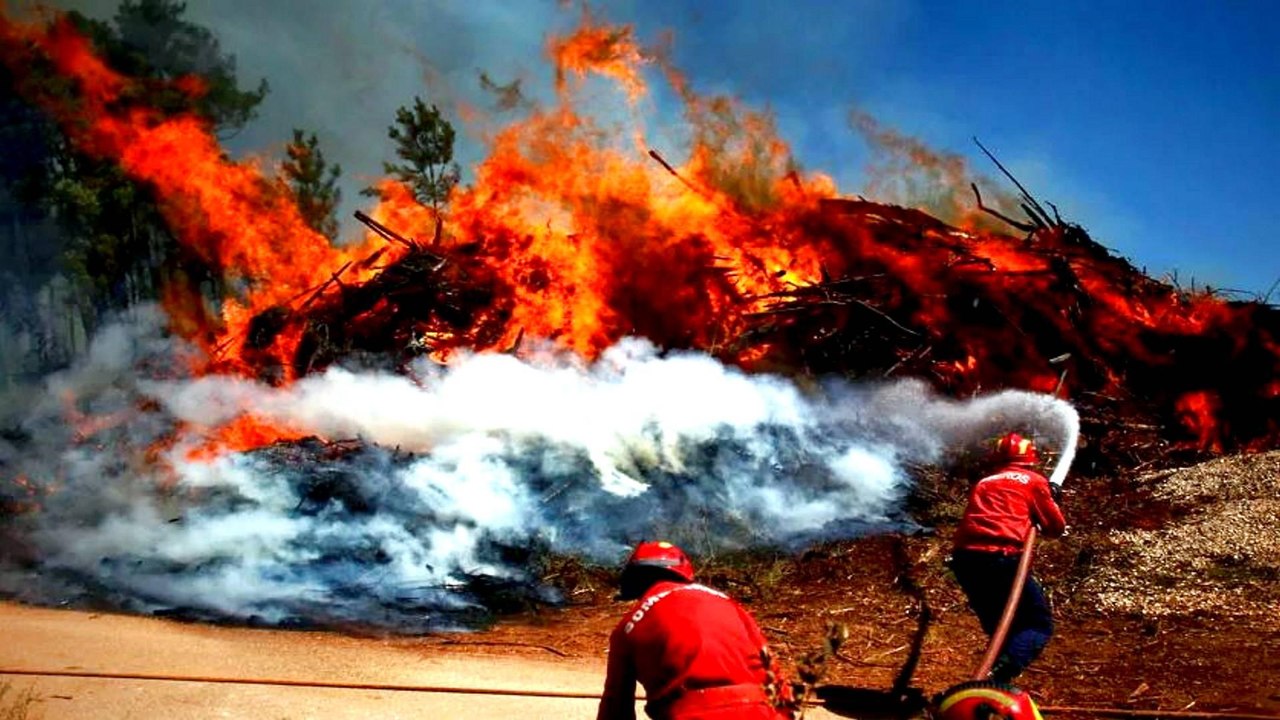 Portugal areas scorched by forest fires 'look l...
