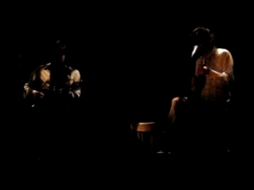 Thomas Fersen : La chauve-souris