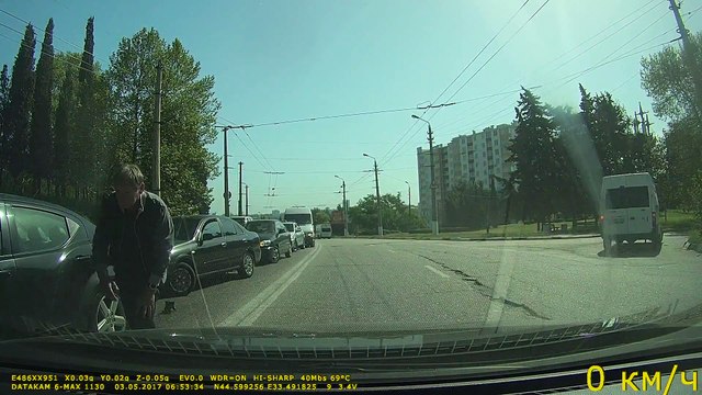 Ce chaton a utilisé 3 de ses 7 vies en 1 coup! Chanceux l'animal