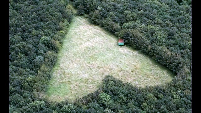 En hommage à sa femme décédée, il plante 6000 arbres... magnifique et émouvant
