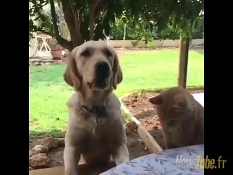 LA GOURMANDISE EST UN VILAIN DÉFAUT