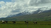 الانقلاب الصيفي ينعش السياحة في آيسلندا