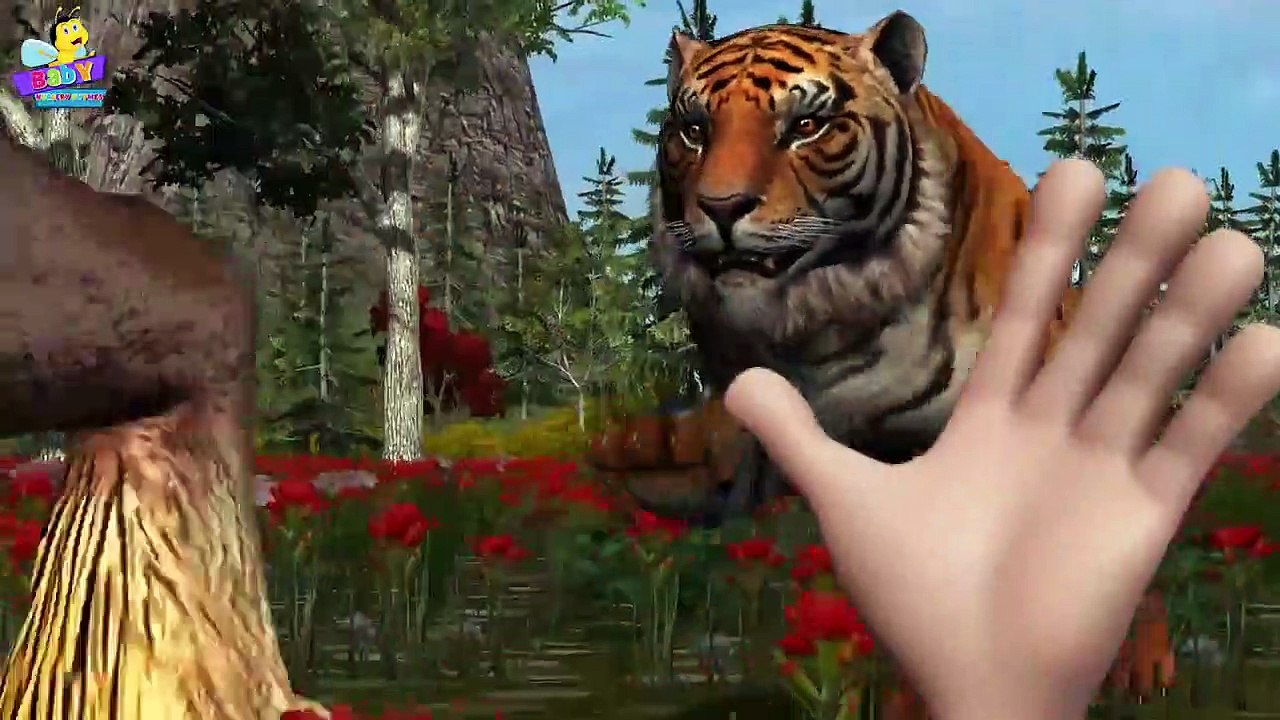 Finger Family 3D _ Tiger Finger Family _ Animal cartoons Finger Family Nursery Rhymes