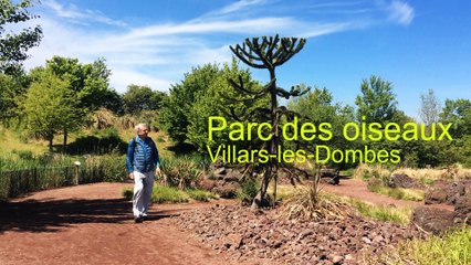 France : VIDEO Parc des Oiseaux (Villars-les-Dombes)