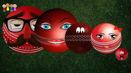 Cartoons for Kids   Cabbage Finger Family Rhymes in English   Family Finger Song