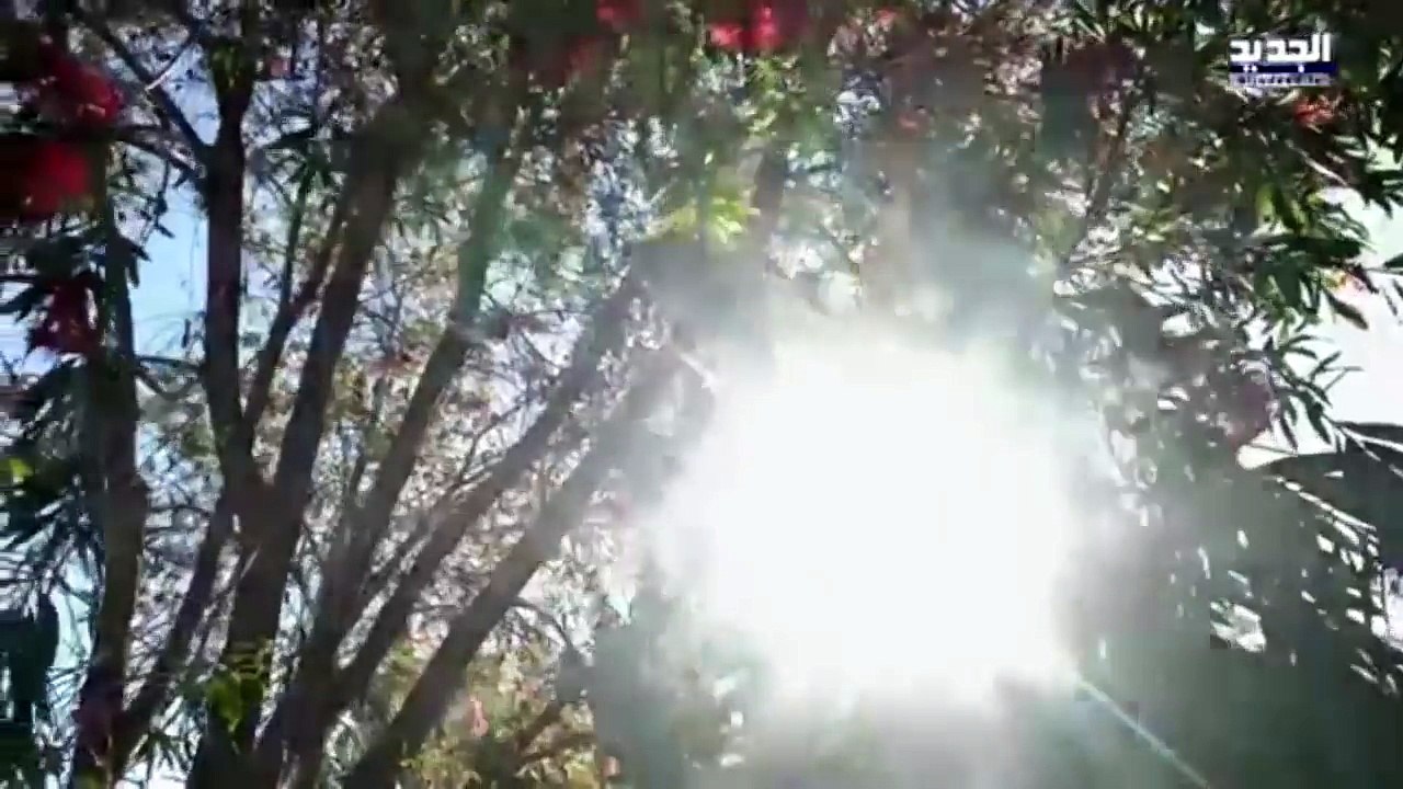 حب محرّم امراءه وزوج ابنتها على علاقه