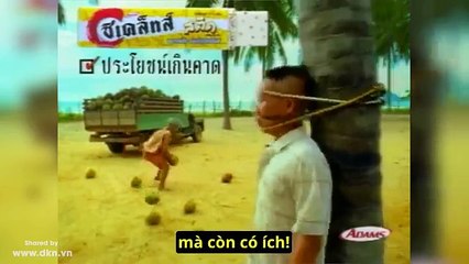 Quảng cáo Kẹo cao su