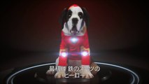 犬版『ドクター・ストレンジ』特別映像
