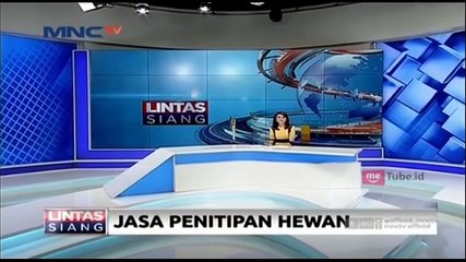 Penitipan Hewan, Solusi Menitipkan Hewan Tercinta Selama Mudik