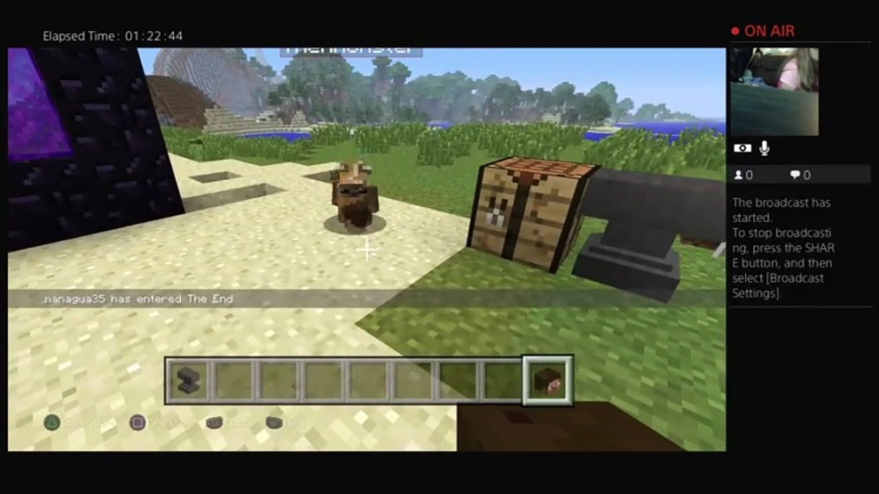 Minecraft (15)