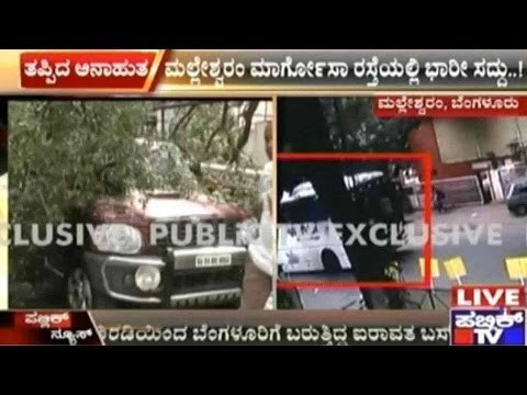 Bangalore: CCTV Footage Captures Tree Falling On Airavata Bus