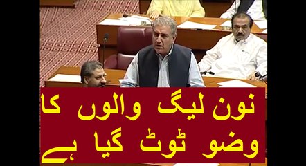 Download Video: Shah Mehmood Qureshi's Blasting Speech About JIT in National Assembly on 14.06.2017