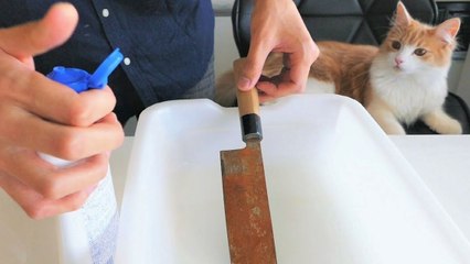 Restauration d'un couteau japonais rouillé