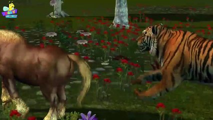 Finger Family 3D _ Tiger Finger Family _ Animal cartoons Finger Family Nurser