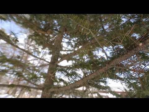 Wisata Banana Boat Diatas Salju di Gunung Yatsugatake, Jepang - IMS