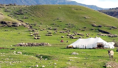 Göçerler Yaylaların Yolunu Tuttu - Elazığ