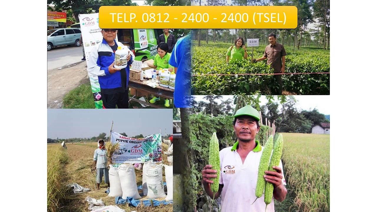 0812-2400-2400 (TSEL ),Obat untuk Koi