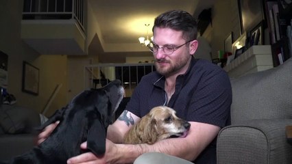 En Californie, le cannabis c'est aussi pour les chiens